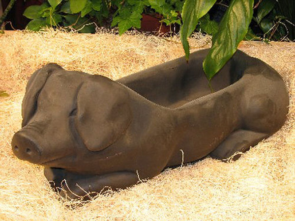 Cast stone Pig planter statue - Reclining pig with recess for plants